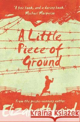 A Little Piece of Ground: 15th Anniversary Edition Elizabeth Laird   9781509887637 Pan Macmillan