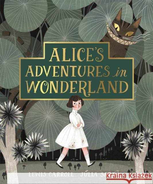 Alice's Adventures in Wonderland Lewis Carroll J 9781509897605 Pan Macmillan