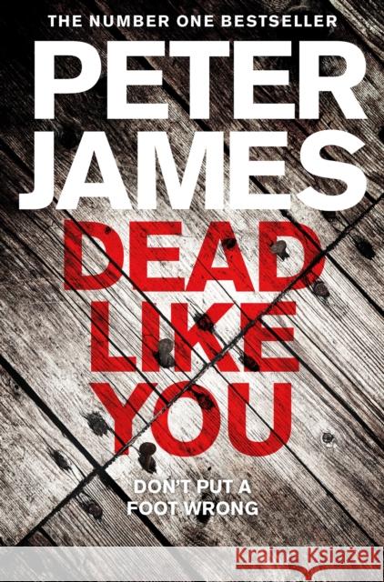 Dead Like You Peter James 9781509898855 Pan Macmillan