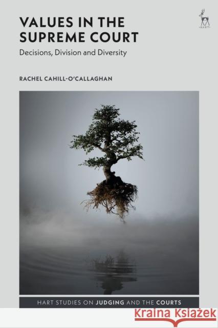 Values in the Supreme Court: Decisions, Division and Diversity Rachel Cahill-O'Callaghan 9781509921850 Hart Publishing