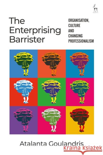 The Enterprising Barrister: Organisation, Culture and Changing Professionalism Atalanta Goulandris 9781509928767 Hart Publishing