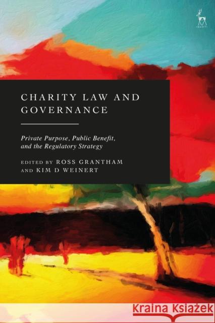 Charity Law and Governance  9781509979271 Bloomsbury Publishing PLC