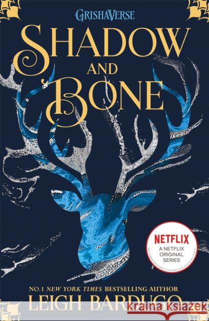 Shadow and Bone: Shadow and Bone: Book 1 Bardugo Leigh 9781510105249 Hachette Children's Group