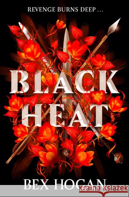 Black Heat: A Dark and Thrilling YA Fantasy  9781510110960 Hachette Children's Group