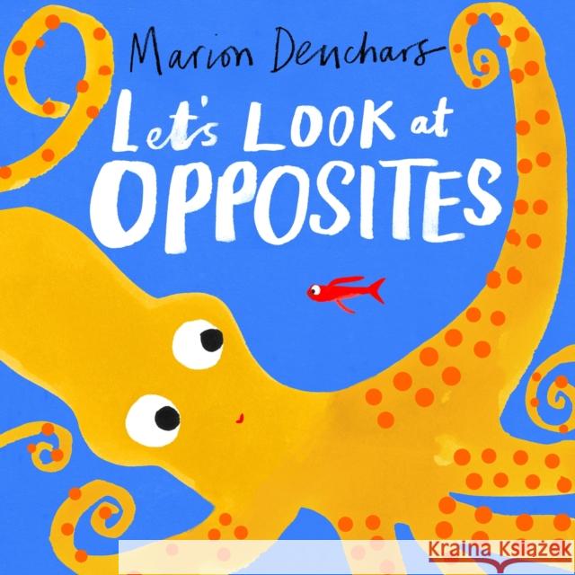 Let's Look at... Opposites: Board Book Marion Deuchars 9781510230002 Hachette Children's Group