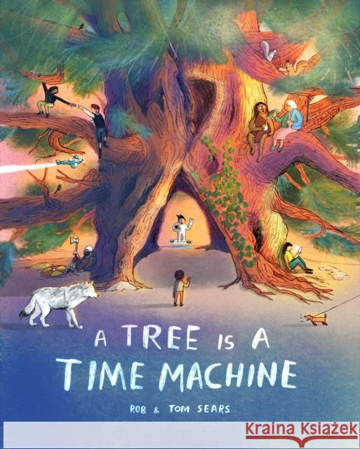 A Tree is a Time Machine Tom Sears 9781510231207 Hachette Children's Group