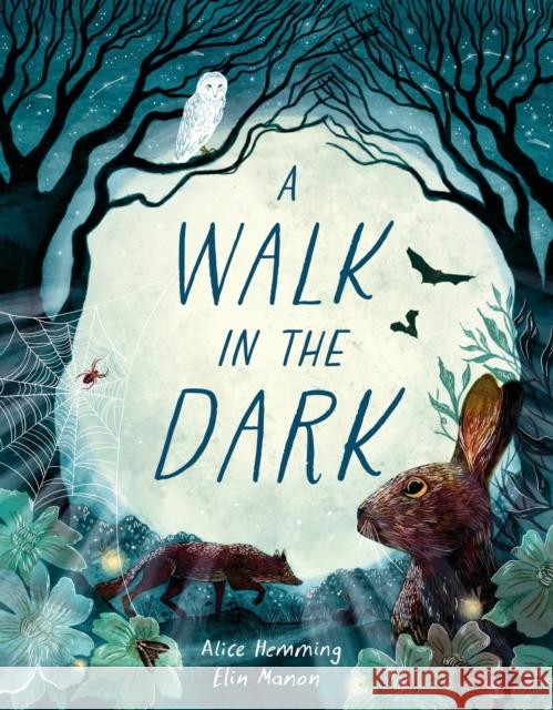 A Walk in the Dark Alice Hemming 9781510231481