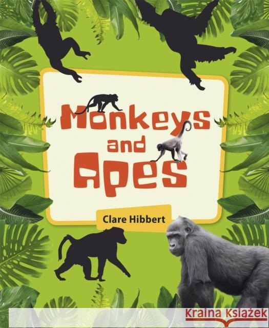 Reading Planet KS2 - Monkeys and Apes - Level 4: Earth/Grey band Clare Hibbert 9781510452343