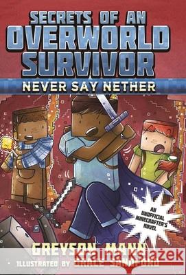 Never Say Nether Greyson Mann Grace Sandford 9781510713369 Sky Pony Press