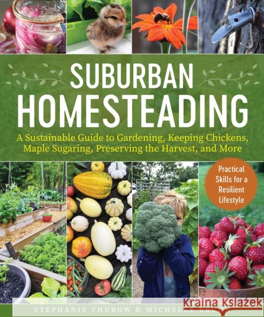 Small-Scale Homesteading: A Sustainable Guide to Gardening, Keeping Chickens, Maple Sugaring, Preserving the Harvest, and More Michelle Bruhn 9781510770362 Skyhorse Publishing