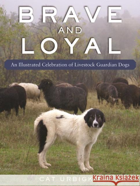 Livestock Guardian Dogs: An Illustrated Celebration Cat Urbigkit 9781510774926 Skyhorse Publishing