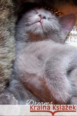 Dreams Kelsey Dale L. K. Star 9781511424707 Createspace