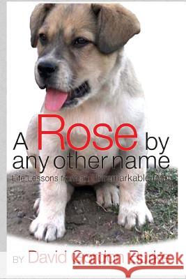 A Rose by Any Other Name: Life Lessons from an Unremarkable Dog David Gordon Burke 9781511589680 Createspace