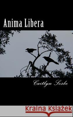 Anima Libera Caitlyn Sosbe 9781511673525 Createspace