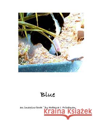 Blue an imagine book Friedman, Rebecca 9781511685146 Createspace