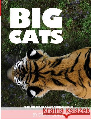 Big Cats Dean Iodice 9781511708562 Createspace Independent Publishing Platform
