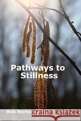 Pathways to Stillness: Removing the Layers of Illusion Bob Norton 9781511811026