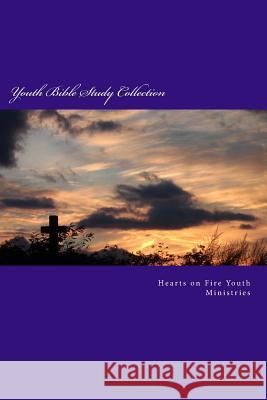 Youth Bible Study Collection: Proverbs and the Synoptic Gospels Vicie Records 9781511828710 Createspace