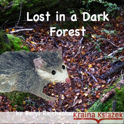 Lost in a Dark Forest Beryl Reichenberg 9781511852043