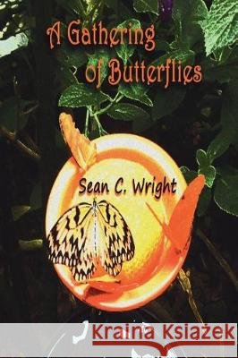A Gathering of Butterflies Sean C. Wright 9781512009934