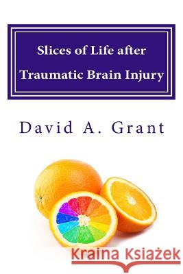 Slices of Life after Traumatic Brain Injury Grant, David A. 9781512075212 Createspace Independent Publishing Platform