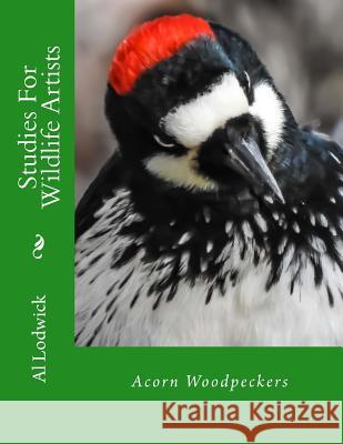 Acorn Woodpeckers: Studies For Wildlife Artists Lodwick, Al 9781512139303 Createspace