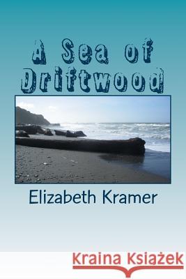 A Sea of Driftwood Elizabeth Kramer 9781512165418
