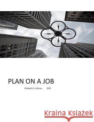 Plan on a Job: Short article on creating jobs that do not exist Sullivan, Elizabeth a. 9781512207750