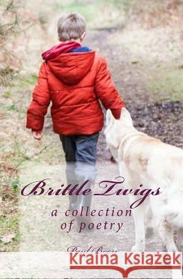 Brittle Twigs: a collection of poetry Boon, Paul 9781512261714 Createspace