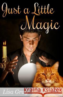 Just a Little Magic Lisa Gray 9781512343694 Createspace