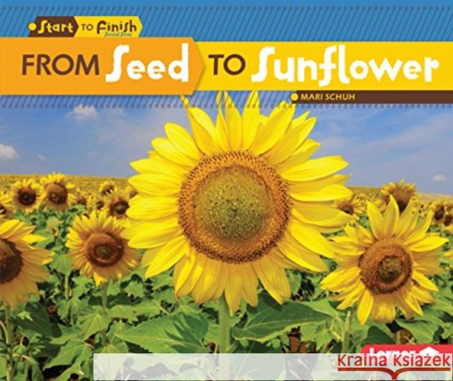 From Seed to Sunflower Schuh, Mari C. 9781512413014 Lerner Publications