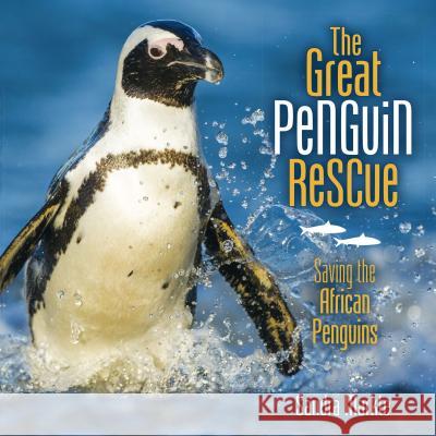 The Great Penguin Rescue: Saving the African Penguins Sandra Markle 9781512413151 Millbrook Press