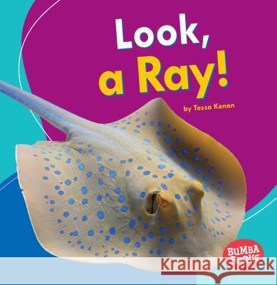 Look, a Ray! Tessa Kenan 9781512415070 Lerner Publications