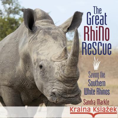 The Great Rhino Rescue: Saving the Southern White Rhinos Markle, Sandra 9781512444360 Millbrook Press