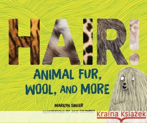 Hair!: Animal Fur, Wool, and More Marilyn Singer Julie Colombet 9781512449150 Millbrook Press