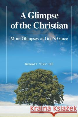 A Glimpse of the Christian: More Glimpses of God's Grace Richard J. Dick Hill 9781512702828