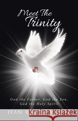 Meet the Trinity: God the Father, God the Son, God the Holy Spirit Jean Baco 9781512729245 WestBow Press