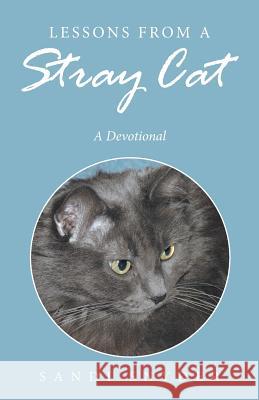 Lessons from a Stray Cat: A Devotional Sandi Snyder 9781512736809 WestBow Press