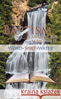 I Can Say It, But I Can't See It: Baptism William E. Dodson 9781512766929