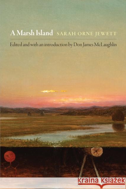 A Marsh Island Sarah Orne Jewett Don James McLaughlin 9781512824261 University of Pennsylvania Press