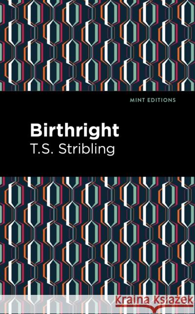 Birthright T. S. Stribling Mint Editions 9781513135380 Mint Editions