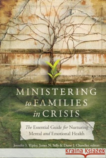Ministering to Families in Crisis - The Essential Guide for Nurturing Mental and Emotional Health  9781514000427 IVP Academic