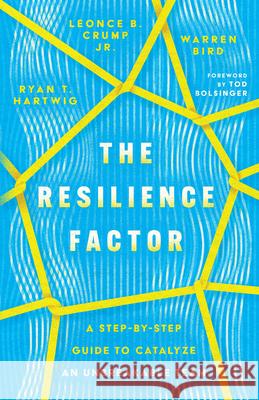 The Resilience Factor – A Step–by–Step Guide to Catalyze an Unbreakable Team Tod Bolsinger 9781514005682 IVP