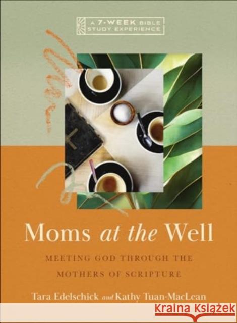 Moms at the Well - Meeting God Through the Mothers of Scripture - A 7-Week Bible Study Experience  9781514006788 IVP Bible Studies
