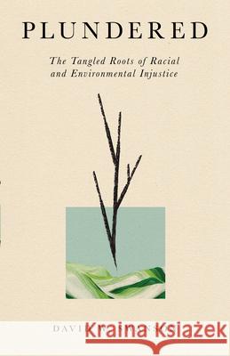 Plundered - The Tangled Roots of Racial and Environmental Injustice  9781514007747 IVP