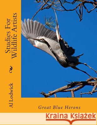 Great Blue Herons: Studies For Wildlife Artists Lodwick, Al 9781514213490 Createspace