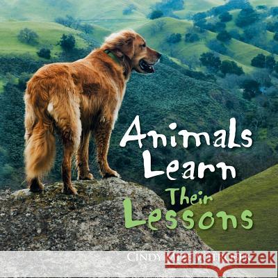 Animals Learn Their Lessons Cindy Mize Votrobek 9781514416488 Xlibris