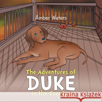 The Adventures of Duke in the Country Amber Waters 9781514430347