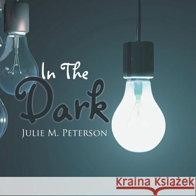 In The Dark Julie M Peterson 9781514438282