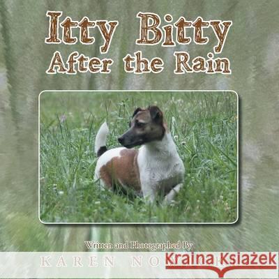 Itty Bitty After the Rain Karen Nowicki   9781514450291 Xlibris